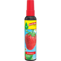 Wunderbaum Strawberry pump spray