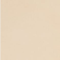 A piece of natural colored leather