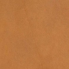 Cognac piece of leather