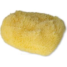 Natural mushroom 6-10 cm