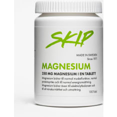 Skip Magnesium 250 mg 100tabl ravintolisä