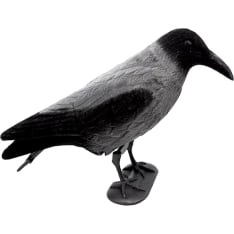 5etta Varis - houkutuskuva