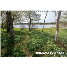 Burde Wall Pocket 2026 wall calendar