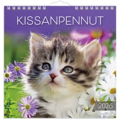 Burde Kittens 2026 wall calendar