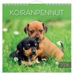 Burde Puppies 2026 wall calendar