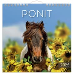 Burde Ponit 2026 wall calendar