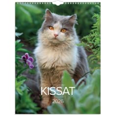 Burde Cats 2026 wall calendar