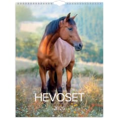 Burde Horses 2026 wall calendar
