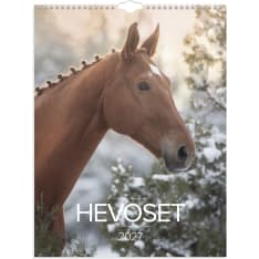 Wall calendar 2027 Horse