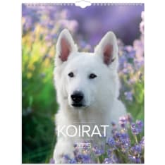 Burde Dogs 2025 wall calendar