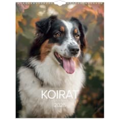 Burde Dogs 2026 wall calendar