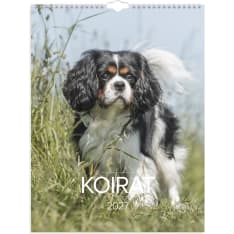 Wall calendar 2027 Dog