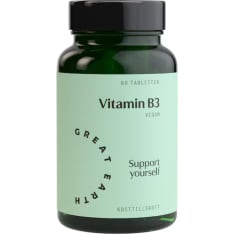 Great Earth Niacin (flush free) 60 tabl food supplement