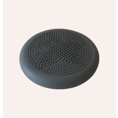 Swedish Posture balance cushion