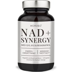 Nordbo NAD+ Synergy 40 kaps. ravintolisä