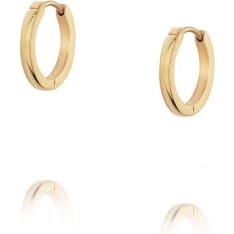 Mockberg MO584 Classic earrings