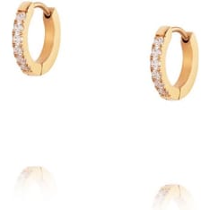 Mockberg MO585 Shiny earrings