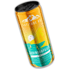 Latitude 65 Auringonpaiste 0,33 l energiajuoma