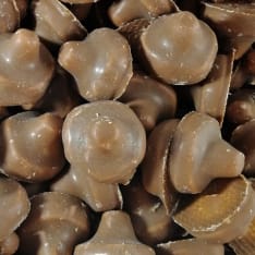 Franssons Suklaasieni 1,2 kg irtokarkki