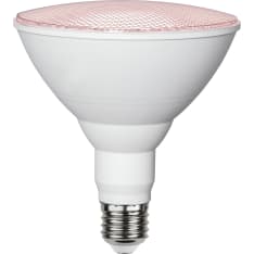 Star E27 PAR38 1200lm led kasvilamppu