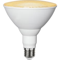 Star E27 PAR38 1700lm led kasvilamppu