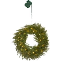 Star Thuja kranssi