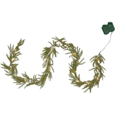 Star Thuja köynnös