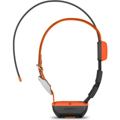Garmin Alpha T20 -koirapanta