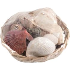 Glorex Shell Basket 14 cm simpukkasetti 350g