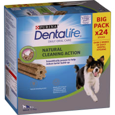 Purina Dentalife 552g/24kpl Medium Big Pack koiran herkku