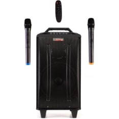 AudioDesignPRO M3 10WL battery powered BT speaker and two wireless microphones