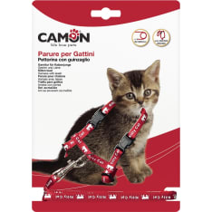 Camo kitten harness with leash