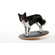 FitPAWS koiran tasapainolauta ⌀50 cm