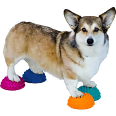 FitPAWS Paw Pods koiran tasapainopuolipallot 4 kpl