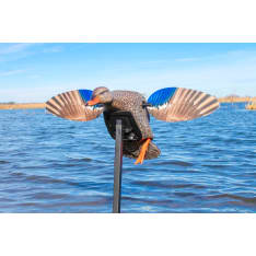 Mojo Elite Series Mini Mallard Hen moottorisorsa