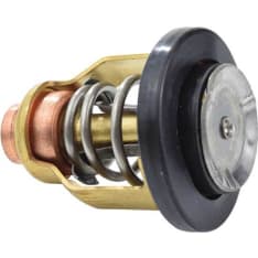 EMP Yamaha thermostat
