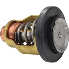 EMP Yamaha thermostat