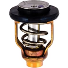 EMP Yamaha thermostat