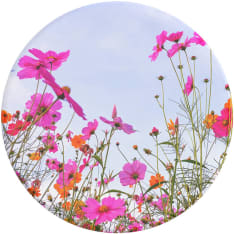 PopSockets PopGrip Fuschia Blooms pidike