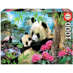 Educa 1000 Morning Panda