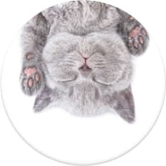 PopSockets Cat Nap irrotettava Grip telinetoiminnolla