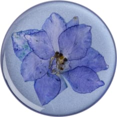 Popsockets Pressed Flower Larkspur Premium irroitettava Grip telinetoiminnolla