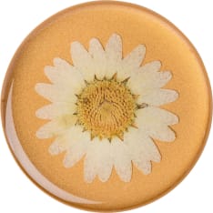Popsockets Pressed Flower White Daisy Premium irroitettava Grip telinetoiminnolla