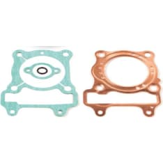 Airsal (301-1041) Seal kit