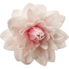 Dekora Dahlia vaaleanpunainen syötävä koriste
