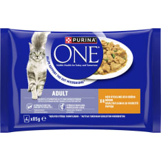 Purina OneAdult Minifileet kastikkeessa Kanaa ja vihreitä papuja 4x85 g kissanruoka