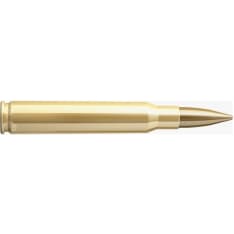 Sellier&Bellot .30-06Sprg 8g FMJ cartridge