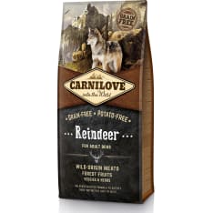 Carnilove Reindeer for Adult 12 kg koiran täysravinto