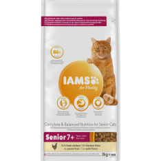 Iams Cat Senior 3 kg dry cat food
