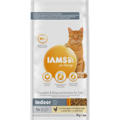 Iams Cat Adult Indoor 3 kg kissan kuivaruoka